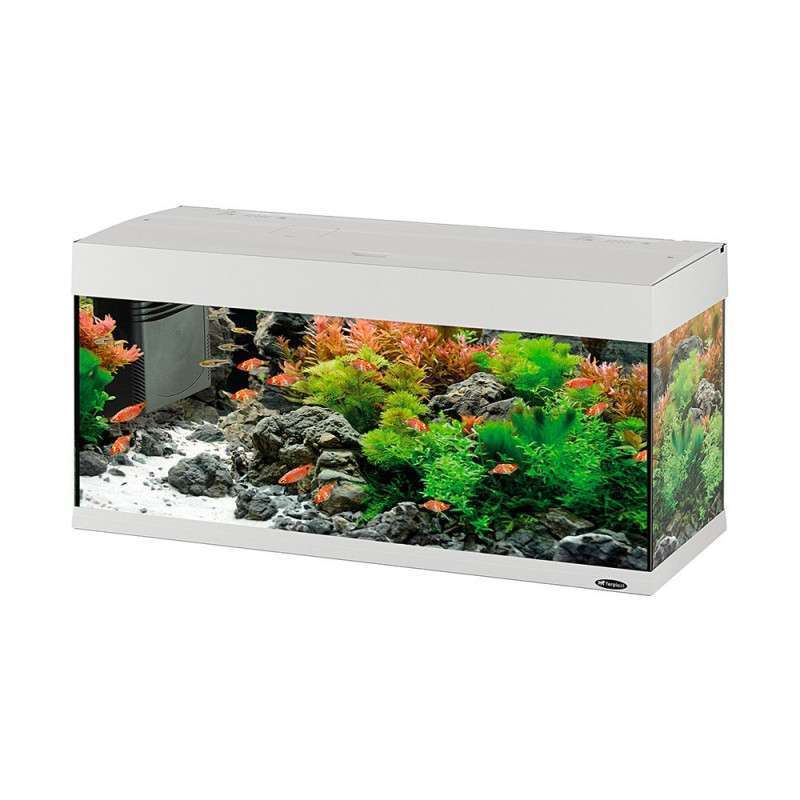 Сколько можно рыбок в аквариум 100 литров
