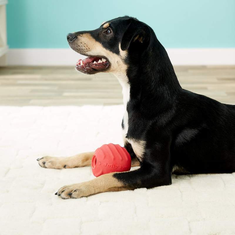 Jolly Pets (Джоллі Петс) JOLLY TUFF TOSSER - Iграшка-м'яч для лаcощiв Джолi Тафф Тосер для собак (10х10х10 см) в E-ZOO
