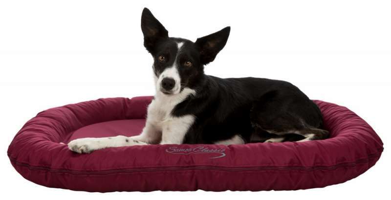 Trixie (Трикси) Samoa Classic cushion - Классический лежак для собак (100х75 см) в E-ZOO