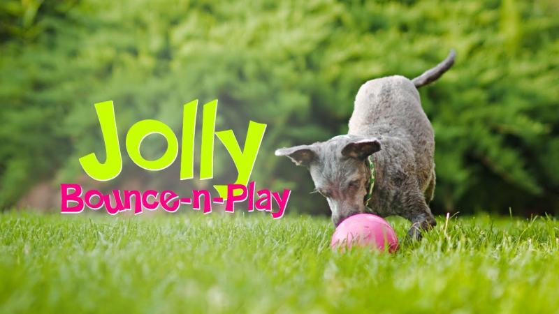 Jolly Pets (Джоллі Петс) BOUNCE-N-PLAY - Iграшка м'яч Баунс-н-Плей для собак (14х14х14 см) в E-ZOO