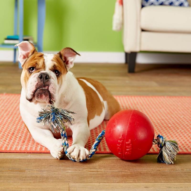 Jolly Pets (Джолли Пэтс) ROMP-N-ROLL - Игрушка мяч Ромп-н-Ролл Болл для собак (22х45х22 см) в E-ZOO