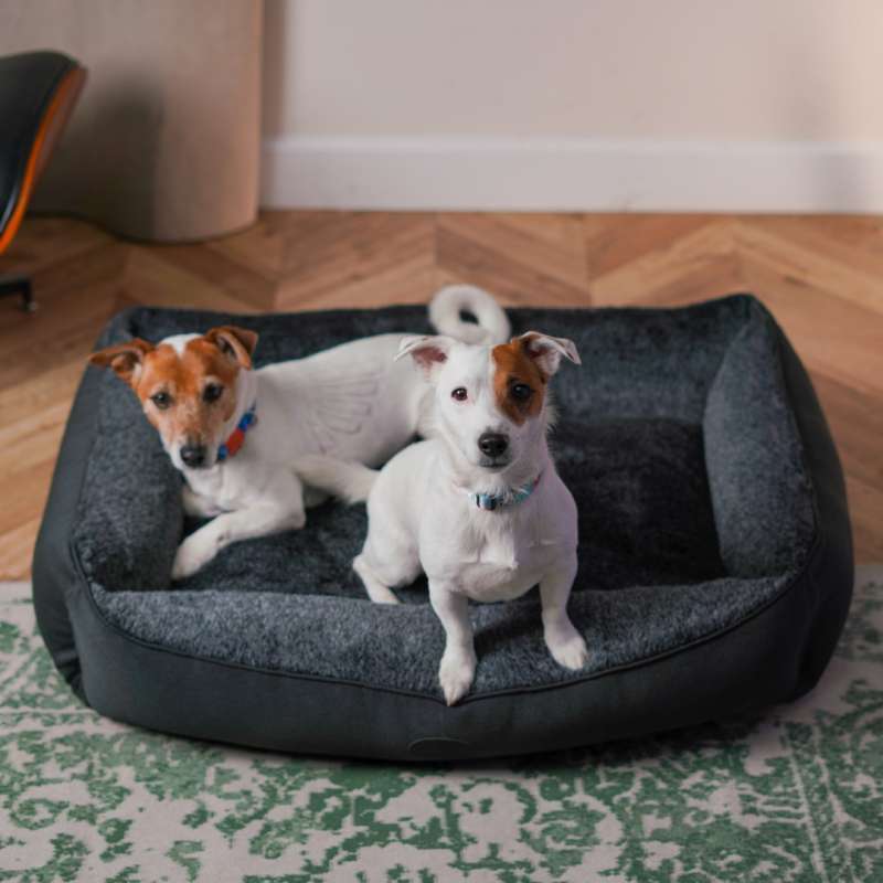 Harley & Cho (Харли и Чо) Sofa Wolf - Мягкий лежак для собак всех пород (L) в E-ZOO