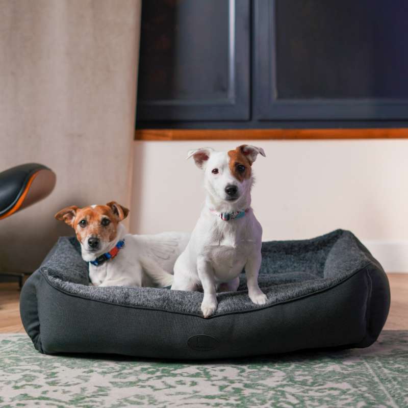 Harley & Cho (Харли и Чо) Sofa Wolf - Мягкий лежак для собак всех пород (L) в E-ZOO