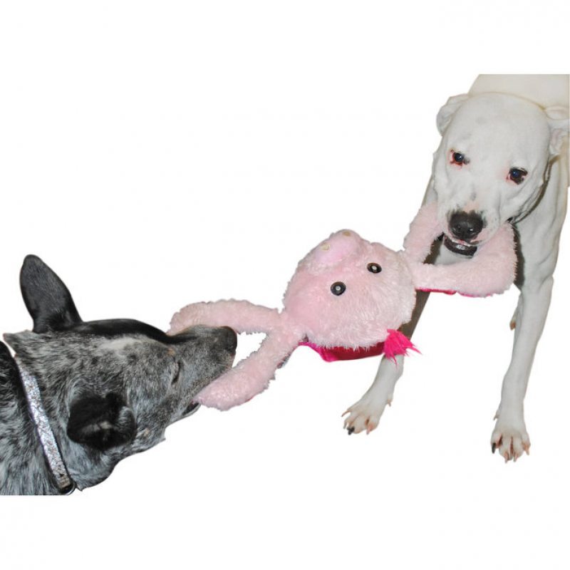 Jolly Pets (Джолли Пэтс) TUG-A-MAL Pig Dog Toy - Игрушка-пищалка Свинка для перетягивания (14х42х15 см) в E-ZOO