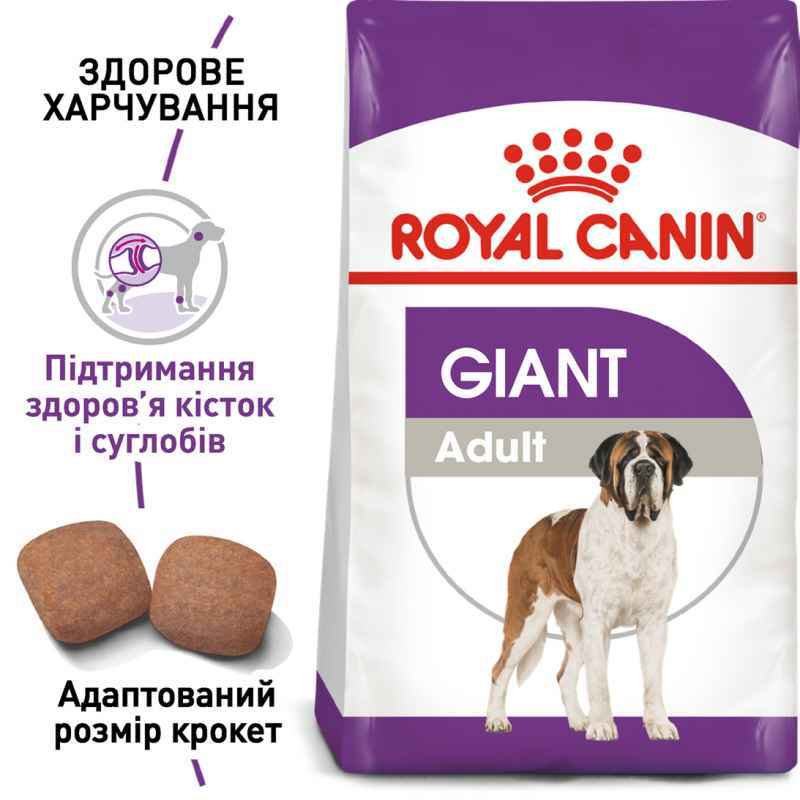 Royal Canin (Роял Канін) Giant Adult - Сухий корм для дорослих собак великих розмірів (15 кг) в E-ZOO