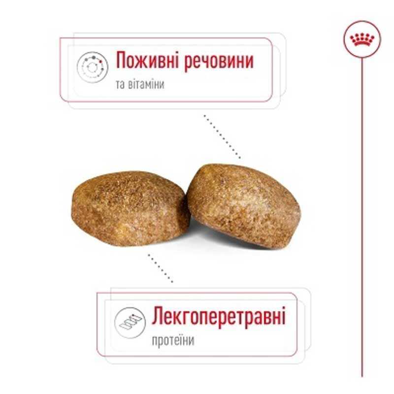 Royal Canin Giant Adult - Сухой корм для взрослых собак больших размеров (4 кг) в E-ZOO