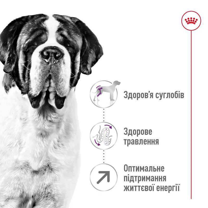 Royal Canin Giant Adult - Сухой корм для взрослых собак больших размеров (4 кг) в E-ZOO