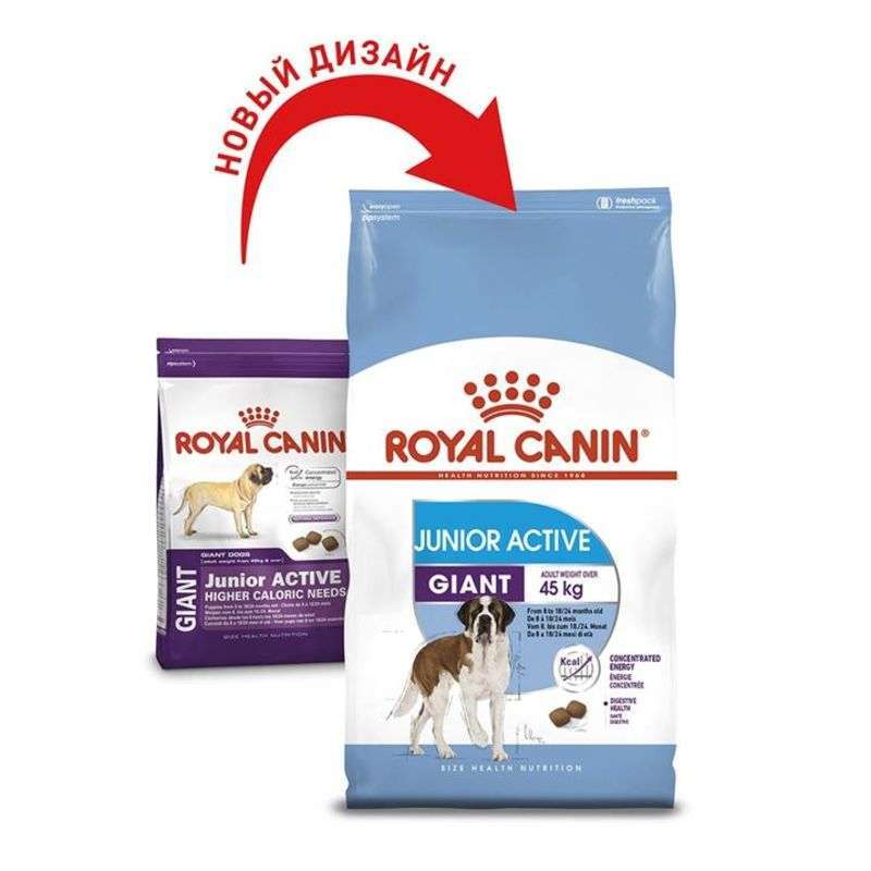 Royal Canin (Роял Канин) Giant Junior Active - Сухой корм для щенков от 8 до 18/24 месяцев с повышенной активностью (15 кг) в E-ZOO