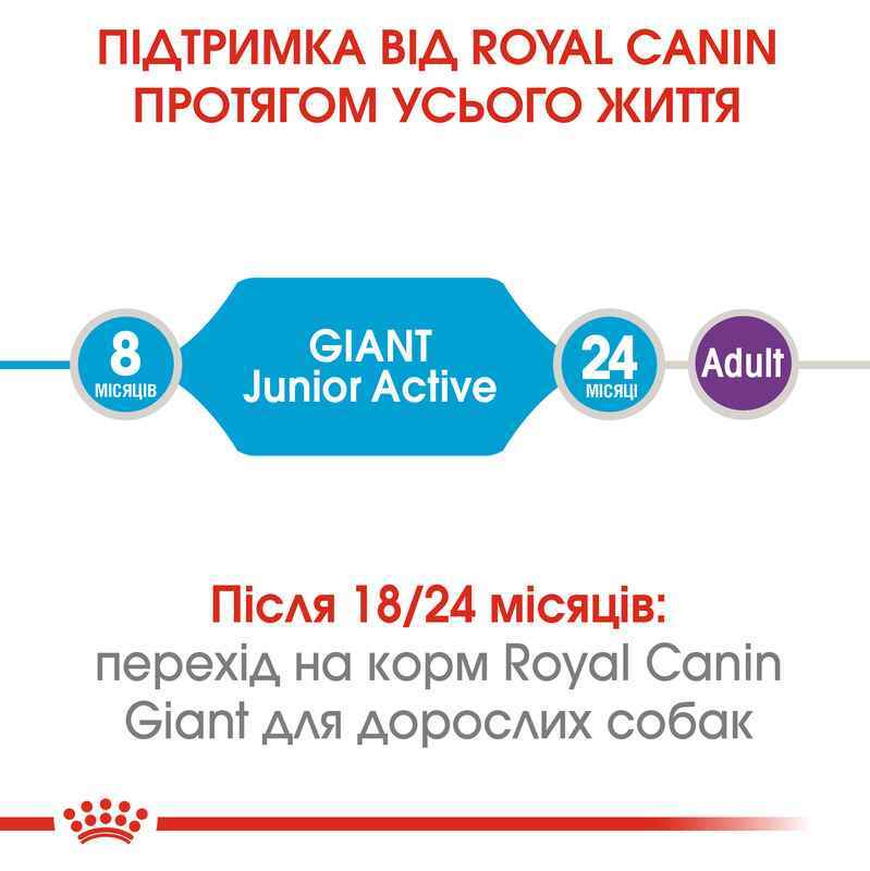 Royal Canin (Роял Канін) Giant Junior Active - Сухий корм для цуценят від 8 до 18/24 місяців з підвищеною активністю (15 кг) в E-ZOO