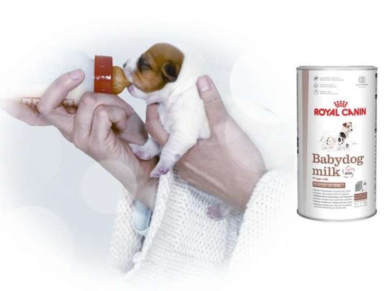 Royal Canin (Роял Канин) Babydog Milk - Замінник молока для цуценят від народження (2 кг) в E-ZOO