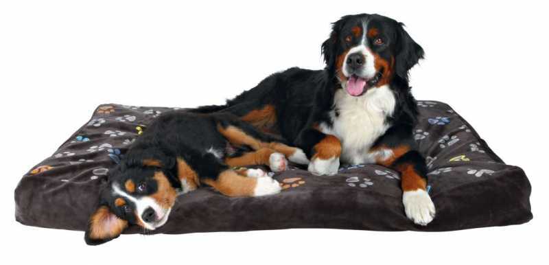 Trixie (Трикси) Jimmy Cushion - Лежак для отдыха собак (100х70 см) в E-ZOO