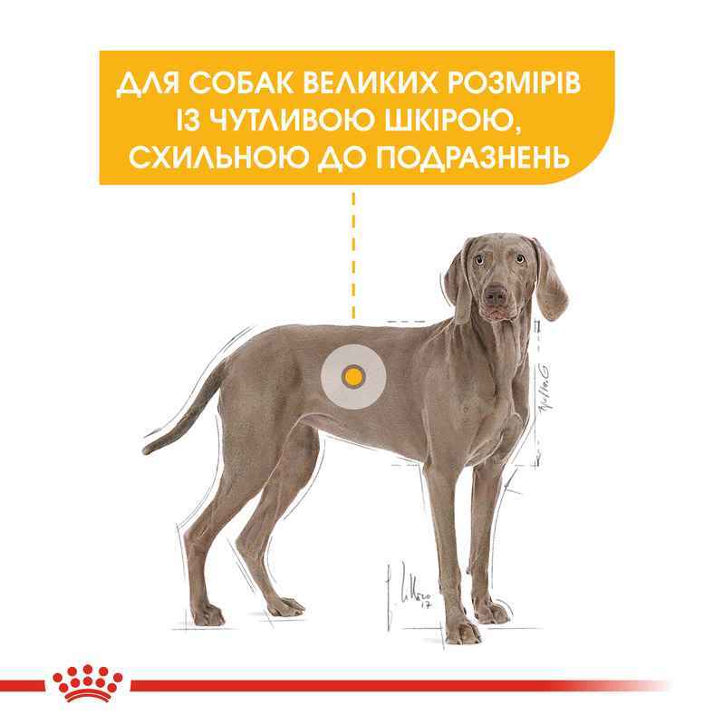 Royal Canin (Роял Канін) Maxi Dermacomfort - Сухий корм для собак з проблемною шкірою (12 кг) в E-ZOO