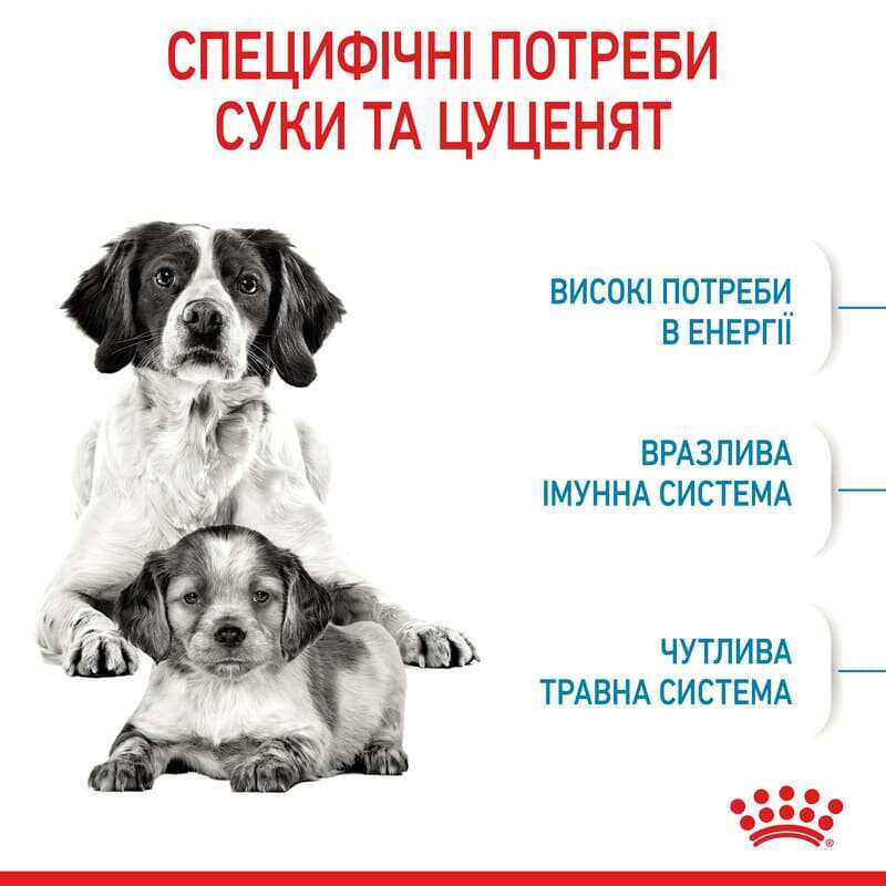 Royal Canin (Роял Канин) Medium Starter Mother&Babydog - Сухой корм для самок и щенков до 2-х месяцев - Фото 4