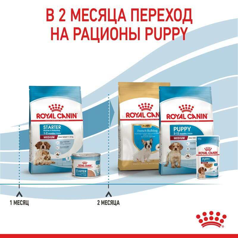 Royal Canin (Роял Канин) Medium Starter Mother&Babydog - Сухой корм для самок и щенков до 2-х месяцев (1 кг) в E-ZOO