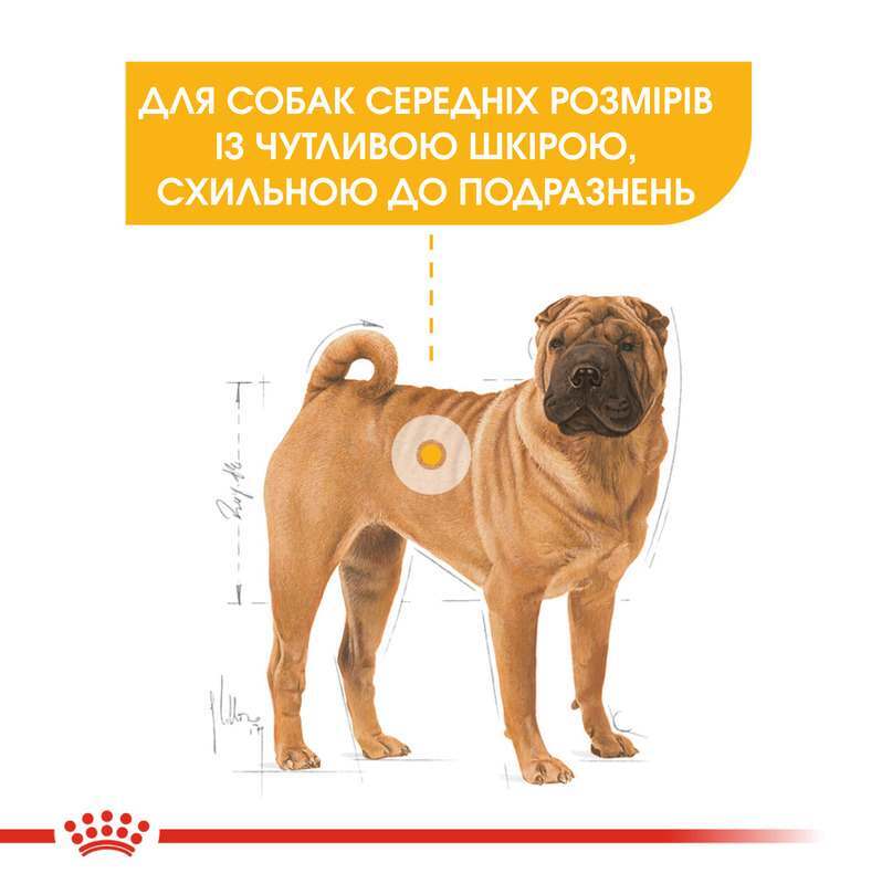 Royal Canin (Роял Канин) Medium Dermacomfort - Сухой корм для собак средних пород с чувствительной кожей - Фото 2