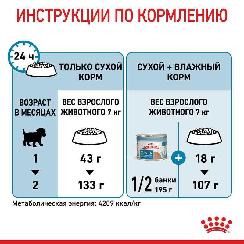 Royal Canin (Роял Канин) Mini Starter Mother&Babydog - Сухой корм для щенков до 2-х месяцев (1 кг) в E-ZOO