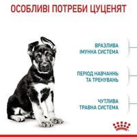 Royal Canin Maxi Puppy - Сухий корм для цуценят від 2 до 15 місяців (1 кг) в E-ZOO фото №5 Royal Canin Maxi Puppy - Сухий корм для цуценят від 2 до 15 місяців (1 кг) в E-ZOO