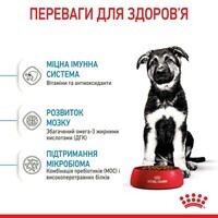 Royal Canin Maxi Puppy - Сухий корм для цуценят від 2 до 15 місяців (1 кг) в E-ZOO фото №6 Royal Canin Maxi Puppy - Сухий корм для цуценят від 2 до 15 місяців (1 кг) в E-ZOO