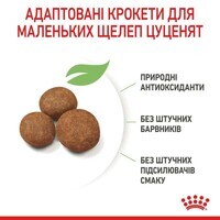 Royal Canin Maxi Puppy - Сухий корм для цуценят від 2 до 15 місяців (1 кг) в E-ZOO фото №7 Royal Canin Maxi Puppy - Сухий корм для цуценят від 2 до 15 місяців (1 кг) в E-ZOO