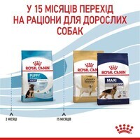 Royal Canin Maxi Puppy - Сухий корм для цуценят від 2 до 15 місяців (1 кг) в E-ZOO фото №8 Royal Canin Maxi Puppy - Сухий корм для цуценят від 2 до 15 місяців (1 кг) в E-ZOO