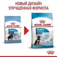 Royal Canin (Роял Канин) Maxi Puppy - Сухой корм для щенков от 2 до 15 месяцев (4 кг) в E-ZOO фото №2 Royal Canin (Роял Канин) Maxi Puppy - Сухой корм для щенков от 2 до 15 месяцев (4 кг) в E-ZOO