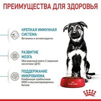 Royal Canin (Роял Канин) Maxi Puppy - Сухой корм для щенков от 2 до 15 месяцев (4 кг) в E-ZOO фото №5 Royal Canin (Роял Канин) Maxi Puppy - Сухой корм для щенков от 2 до 15 месяцев (4 кг) в E-ZOO