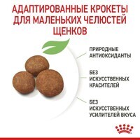 Royal Canin (Роял Канин) Maxi Puppy - Сухой корм для щенков от 2 до 15 месяцев (4 кг) в E-ZOO фото №6 Royal Canin (Роял Канин) Maxi Puppy - Сухой корм для щенков от 2 до 15 месяцев (4 кг) в E-ZOO
