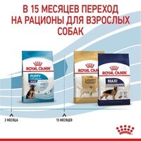 Royal Canin (Роял Канин) Maxi Puppy - Сухой корм для щенков от 2 до 15 месяцев (4 кг) в E-ZOO фото №7 Royal Canin (Роял Канин) Maxi Puppy - Сухой корм для щенков от 2 до 15 месяцев (4 кг) в E-ZOO