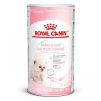 Royal Canin (Роял Канин) Babycat Milk - Заменитель молока для котят (300 г) в E-ZOO