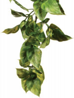 Exo Terra (Экзо Терра) Jungle Plant Amapallo - Пластиковое декоративное растение для террариума (32 см) в E-ZOO