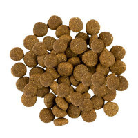 Savory (Сейвори) Fresh Turkey & Сhicken Junior Large Breeds - Сухой корм из мяса свежей индейки и курицы для юниоров крупных пород от 3 месяцев (3 кг) в E-ZOO фото №4 Savory (Сейвори) Fresh Turkey & Сhicken Junior Large Breeds - Сухой корм из мяса свежей индейки и курицы для юниоров крупных пород от 3 месяцев (3 кг) в E-ZOO