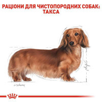 Royal Canin (Роял Канин) Dachshund 28 Adult - Сухой корм для такс - Фото 2