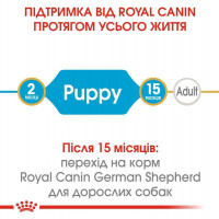 Royal Canin (Роял Канин) German Shepherd Puppy - Сухой корм для щенков Немецкой Овчарки - Фото 4