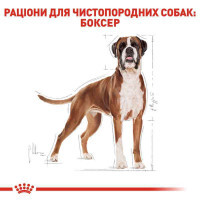 Royal Canin (Роял Канин) Boxer 26 Adult - Сухой корм для боксера - Фото 2
