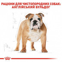 Royal Canin (Роял Канин) Bulldog 24 Adult - Сухой корм для взрослых бульдогов - Фото 2