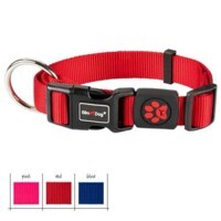 GimDog (ДжимДог) Harlem Nylon Collars - Ошейник для собак из нейлона (1,0х20-30 см) в E-ZOO