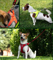 GimDog (ДжимДог) Alfresco Mesh Harntsses – Шлея для собак из неопрена (37-40 см) в E-ZOO фото №9 GimDog (ДжимДог) Alfresco Mesh Harntsses – Шлея для собак из неопрена (37-40 см) в E-ZOO