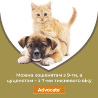 Advocate (Адвокат) by Bayer Animal - Противопаразитарные капли для котов от блох, вшей, клещей, гельминтов (1 пипетка) - Фото 5