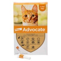 Advocate (Адвокат) by Elanco Animal - Протипаразитарні краплі для котів та тхорів від бліх, вошей, кліщів, гельмінтів (1 піпетка) (до 4 кг) в E-ZOO фото №1 Advocate (Адвокат) by Elanco Animal - Протипаразитарні краплі для котів та тхорів від бліх, вошей, кліщів, гельмінтів (1 піпетка) (до 4 кг) в E-ZOO