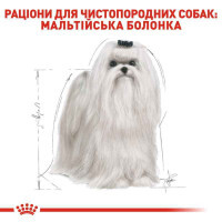 Royal Canin (Роял Канин) Maltese 24 - Сухой корм для породы Мальтийская Болонка (Мальтезе) - Фото 2