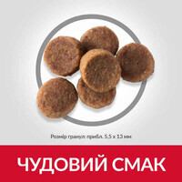 Hill's Science Plan Puppy Large with Chicken - Сухий корм з куркою для цуценят собак великих порід (2,5 кг) в E-ZOO
