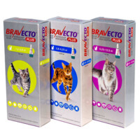 Bravecto Plus (Бравекто Плюс) Противопаразитарные капли на холку от блох, клещей и глистов для котов (6,25-12,5 кг) в E-ZOO