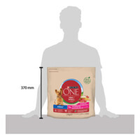 Purina ONE (Пурина Ван) Mini Adult – Сухой корм с ветчиной и рисом для собак малых пород (1,5 кг) в E-ZOO фото №3 Purina ONE (Пурина Ван) Mini Adult – Сухой корм с ветчиной и рисом для собак малых пород (1,5 кг) в E-ZOO