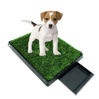M-Pets (М-Петс) Grass Mat Training Pad with Tray - Травяной мат для приучения собак к туалету с поддоном (58х46 см)