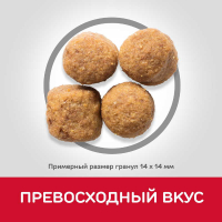 Hill's (Хиллс) Science Plan Adult Large with Chicken - Сухой корм с курицей для взрослых собак крупных пород - Фото 4
