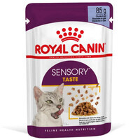 Royal Canin (Роял Канин) Sensory Taste in Jelly – Влажный корм с мясом для взрослых кошек, стимулирующий вкусовые рецепторы (кусочки в желе) (85 г)
