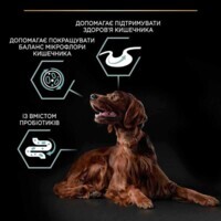 Purina Pro Plan (Пурина Про План) Large Athletic Adult Lamb - Cухой корм с ягненком для собак крупных пород атлетического телосложения с чувствительным пищеварением (14 кг) в E-ZOO фото №9 Purina Pro Plan (Пурина Про План) Large Athletic Adult Lamb - Cухой корм с ягненком для собак крупных пород атлетического телосложения с чувствительным пищеварением (14 кг) в E-ZOO