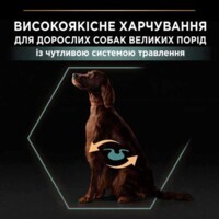 Purina Pro Plan (Пурина Про План) Large Athletic Adult Lamb - Cухой корм с ягненком для собак крупных пород атлетического телосложения с чувствительным пищеварением (14 кг) в E-ZOO фото №6 Purina Pro Plan (Пурина Про План) Large Athletic Adult Lamb - Cухой корм с ягненком для собак крупных пород атлетического телосложения с чувствительным пищеварением (14 кг) в E-ZOO