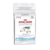 Royal Canin (Роял Канин) Queen 34 - Сухой корм с птицей для кошек во время беременности и лактации