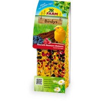 JR Farm (Джиэр Фарм) Birdys Kan Amaranth-Blueberries-Raspberries – Лакомство с овощами, фруктами, орехами, зерном, семечками для канареек (130 г) в E-ZOO